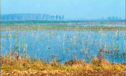 齐长城西端起点于古济水东岸,该处现为沼泽地